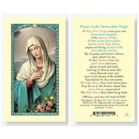 Immaculate Virgin Laminated Holy Card - 25 Pack