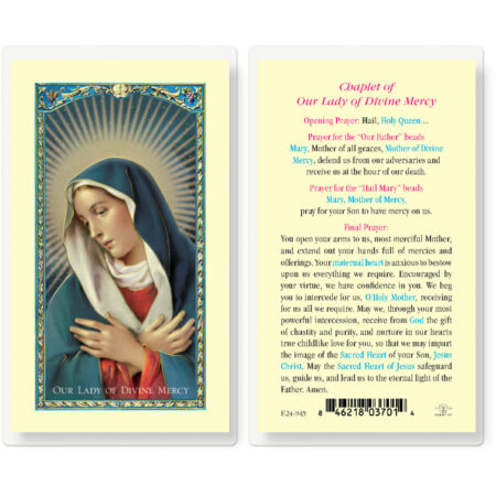Our Lady of Divine Mercy Chaplet Laminated Holy Card - 25 Pack