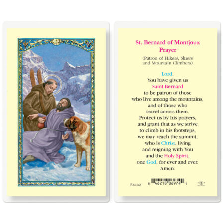 Saint Bernard Laminated Holy Card - 25 Pack