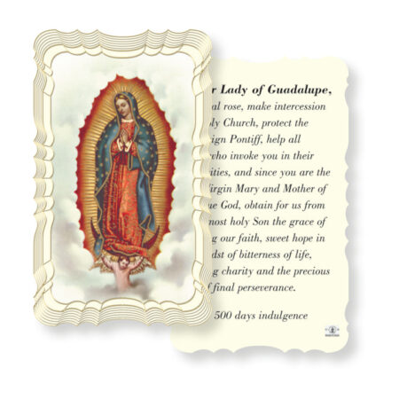 Our Lady of Guadalupe-Mystical Rose Holy Card - 50 Pack