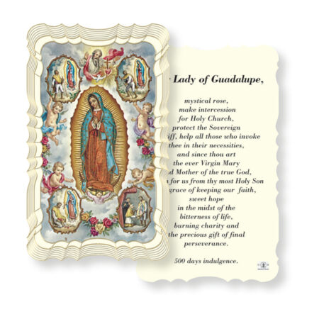 Our Lady of Guadalupe-Mystical Rose Holy Card - 50 Pack
