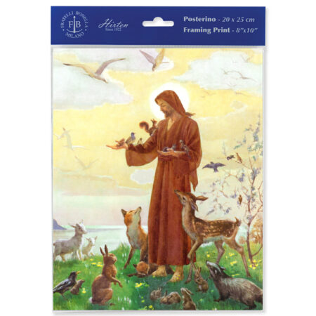 St. Francis Print