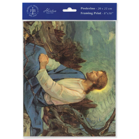 Meditation in the Garden Print